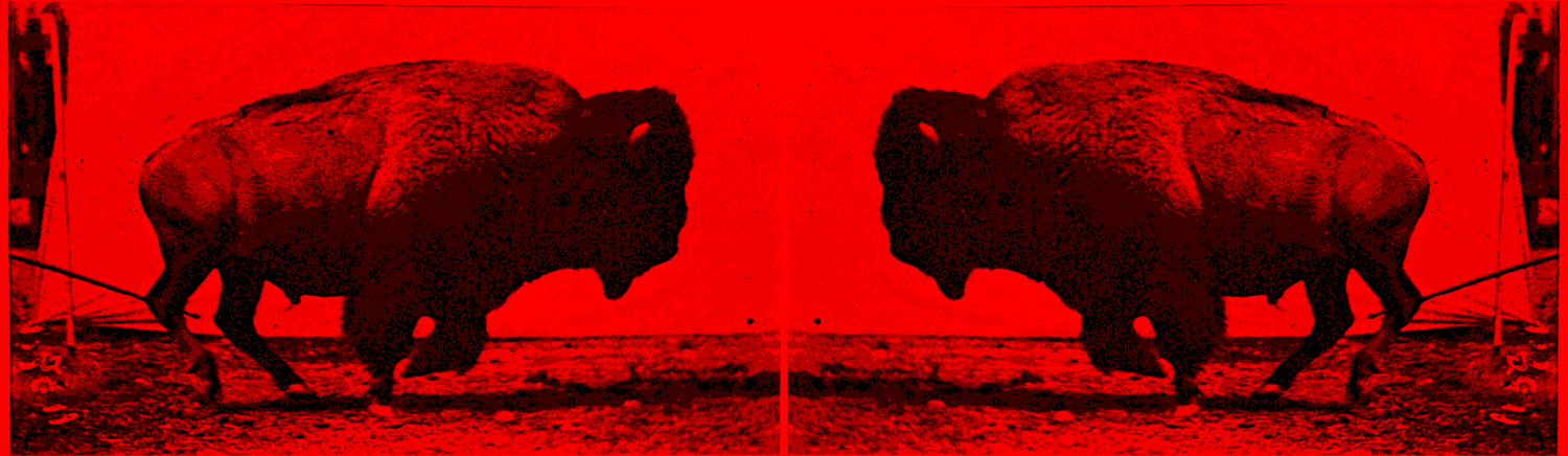 gif final2